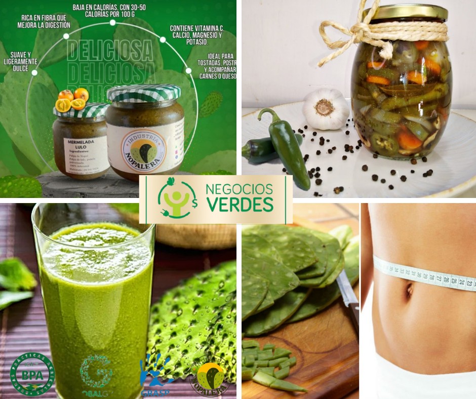 Imagen de Alimentos para la salud - INDUSTRIA NOPALERA