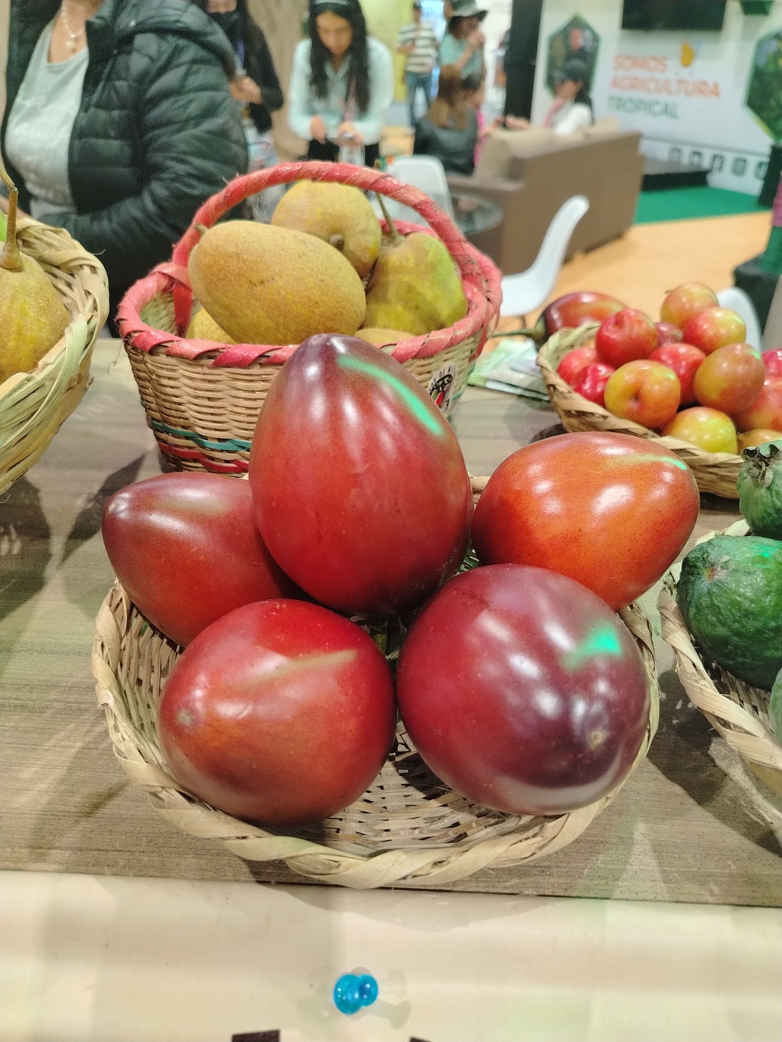 Imagen de Tomate de árbol - INDUSTRIA NOPALERA